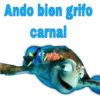 Ando bien grifo
carnal
CO