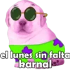 PERRITO PACK11 12