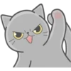 Cat FullMoon 16