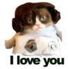 I love you