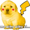 PERRITO PACK11 14