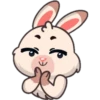 Funny rabbit 15