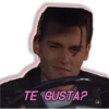 TE GUSTA?