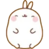 molang reactions! 9