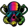Calaveras con mascarillas 15