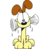 oddie y garfield 13