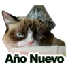 Año Nuevo
