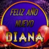 Feliz Año Nuevo 3(Nombres) 20
