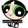 powerpuff girls 9