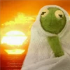 Kermit the frog part 2(Feat. Gerry) 18