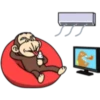 Crazy monkey 2 12