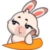 Funny rabbit 16