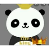 panditas 19