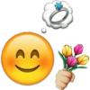 Emoji 15
