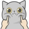 Cat FullMoon 19