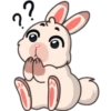 Funny rabbit 17