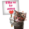 Ella sí
te
ama
Persephone
BON