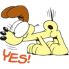 oddie y garfield 16