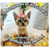 Te busque en el diccionario
significas todo para mi.
@Cositaslindas.post