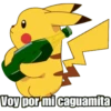 Pikachu 19
