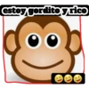 estey gorditoyrico
