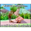 Yaraza, huevőn...
se voló tu techo de calamina