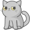 Cat FullMoon 21