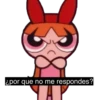 powerpuff girls 16