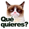 Qué
quieres?