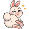 Funny rabbit 19