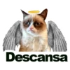 Descansa