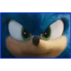 Sonic la pelicula 24