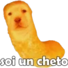 PERRITO PACK11 18