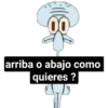 Calamardo 24