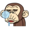 Crazy Monkey 3 15
