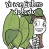 ️Dibujando los días 25