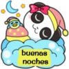 Pandita 13