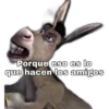 Porque eso es lo
que hacen los amigos