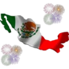 Bandera de México 9