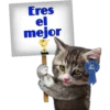 Eres
el
mejor
Persephone
PLACE