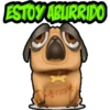 ESTOY ABLIRRIDO
GRISE