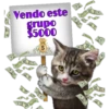 Vendo este
grupo
$5000
Persephone