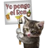 Yo pongo
el Rond
Persephone