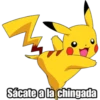 Pikachu 24