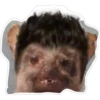 stickers al azar 26