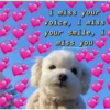 uwu 25