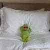 Kermit the frog part 2(Feat. Gerry) 25