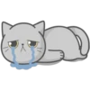 Cat FullMoon 25
