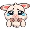 Funny rabbit 21