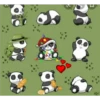 panditas 24